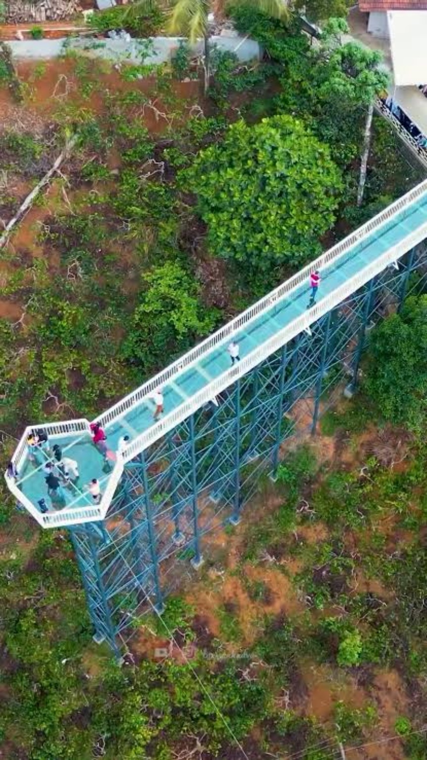 Glass Bridge, Coorg — View 2