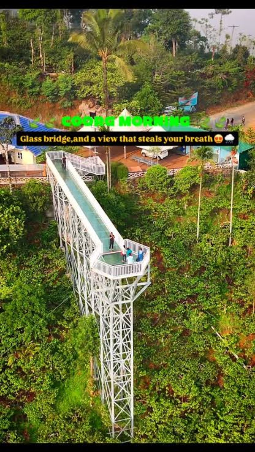 Glass Bridge, Coorg — View 3