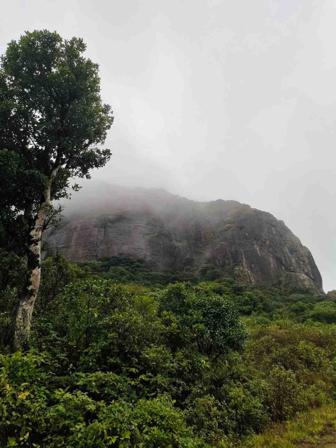 Misty Mountain View